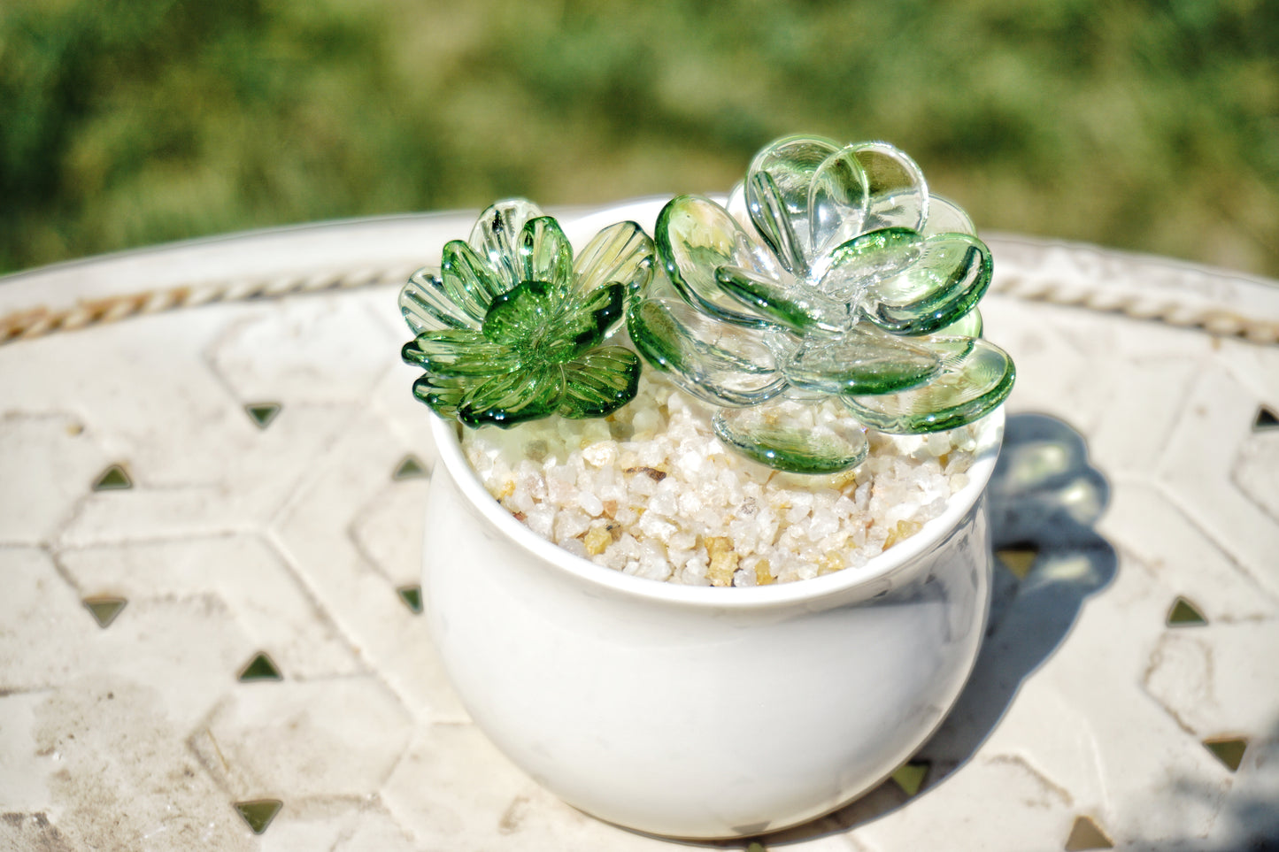 Transparent Handcrafted Glass Succulent